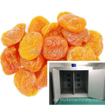 Getrocknete Fruchtverarbeitungslinie getrocknete Aprikosenherstellung Maschine